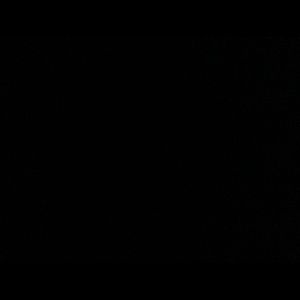 Meet your Posher, Lamar